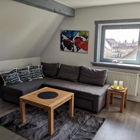 Schoene Ferienwohnung Fuer 6 Personen Erwartet Sie Im Oberharz سانكت اندرياسبرغ المظهر الخارجي الصورة